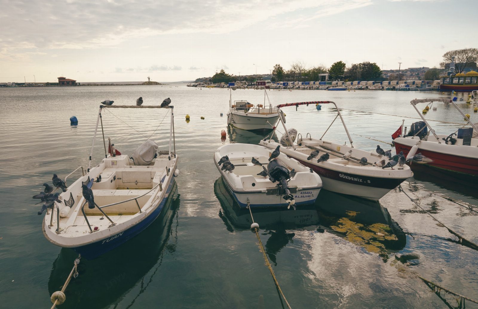 Serene harbor scene with moored boats and distant lighthouse under a cloudy sky.