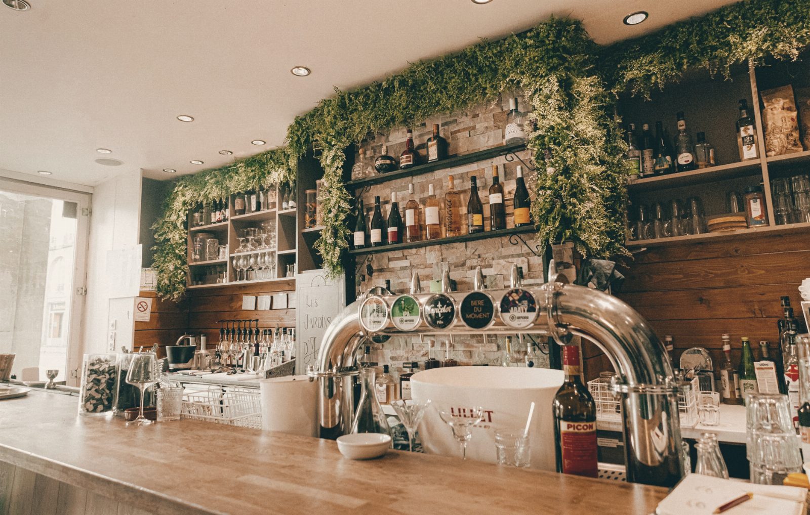 Stylish bar interior with greenery and bottle display, perfect for cozy social gatherings.